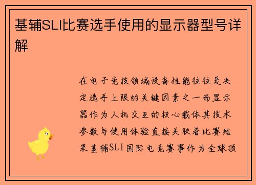 基辅SLI比赛选手使用的显示器型号详解
